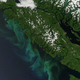 Illustration for article titled Canadas government knew about the geohacking project off its Pacific coast